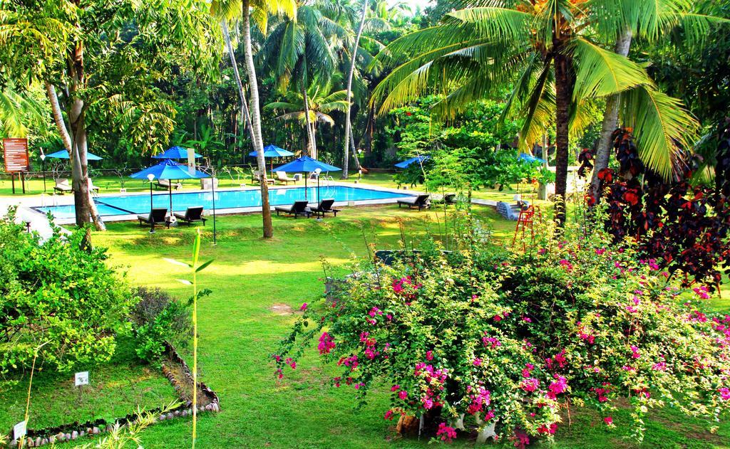Oreeka - Katunayake Airport Transit Hotels Esterno foto