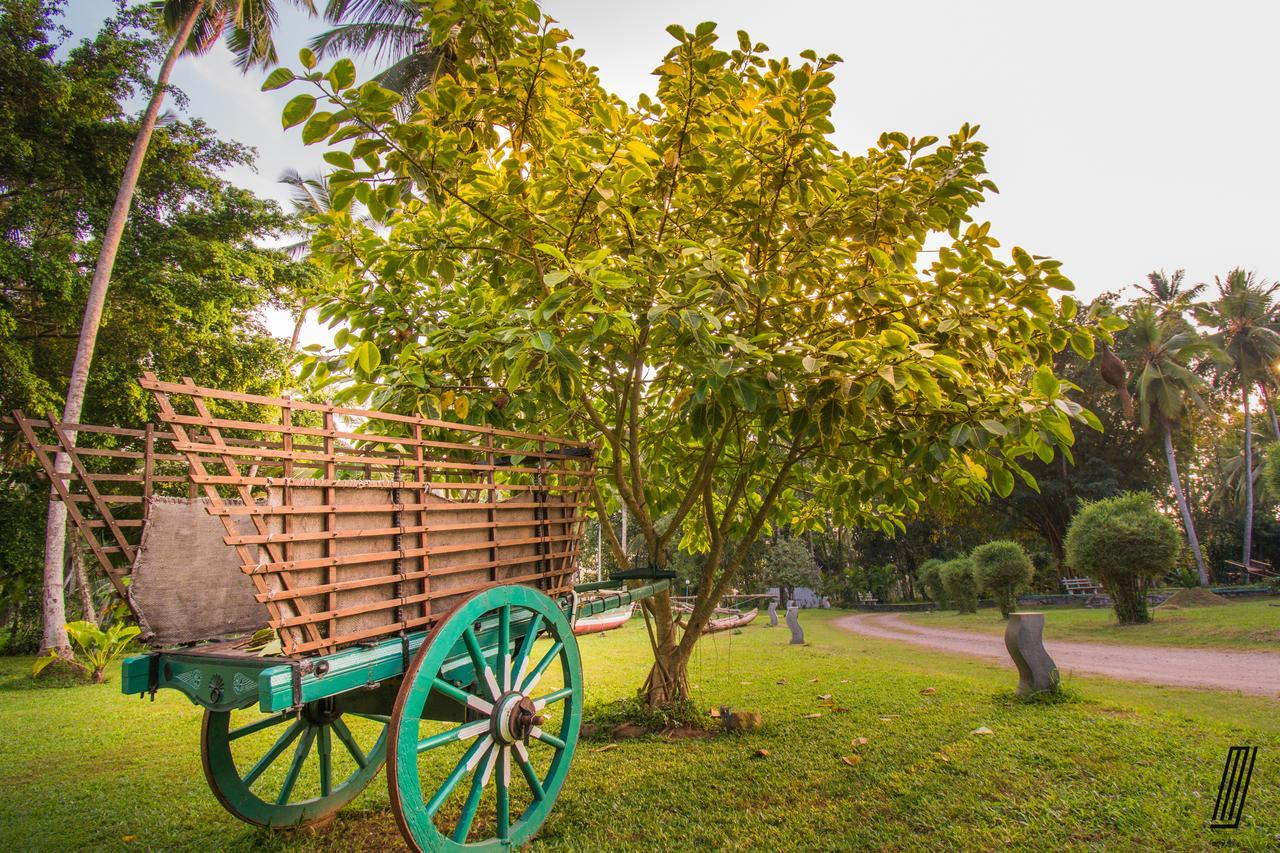 Oreeka - Katunayake Airport Transit Hotels Esterno foto