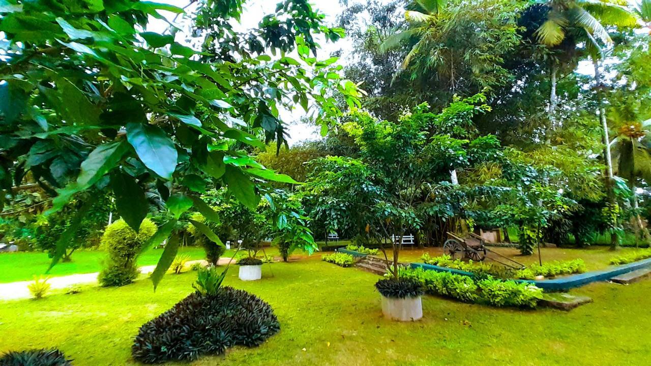 Oreeka - Katunayake Airport Transit Hotels Esterno foto
