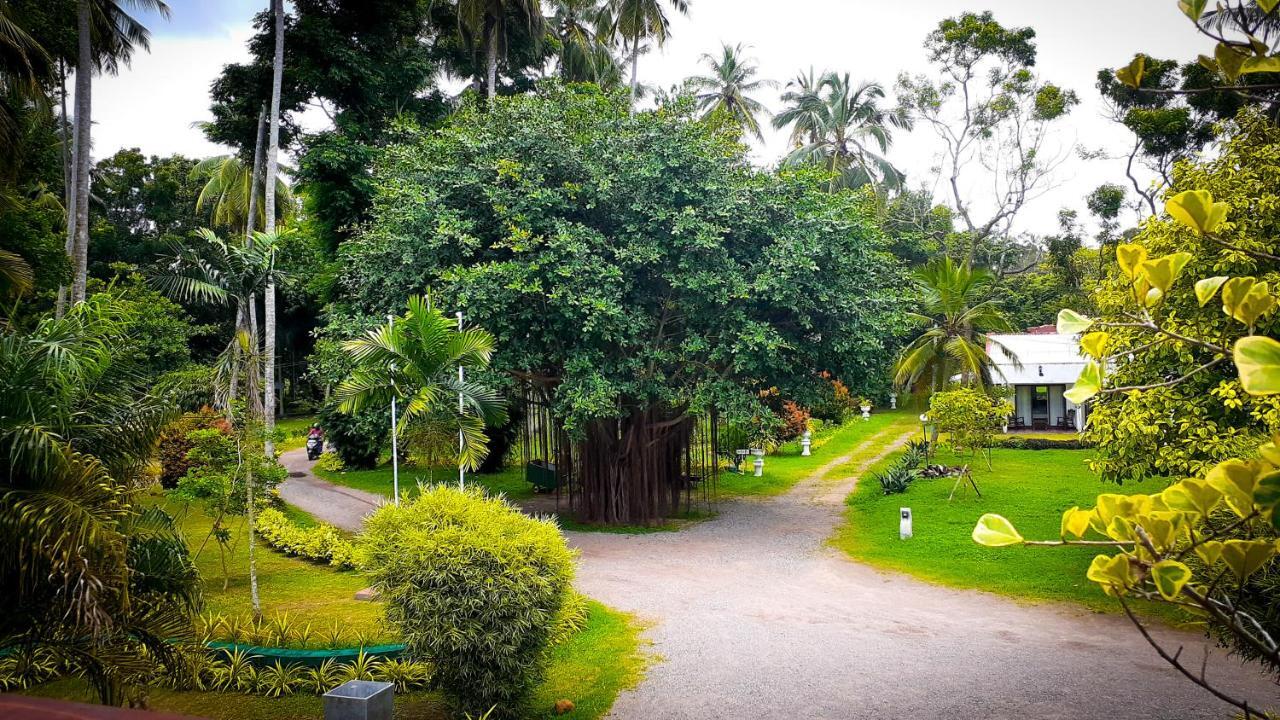 Oreeka - Katunayake Airport Transit Hotels Esterno foto